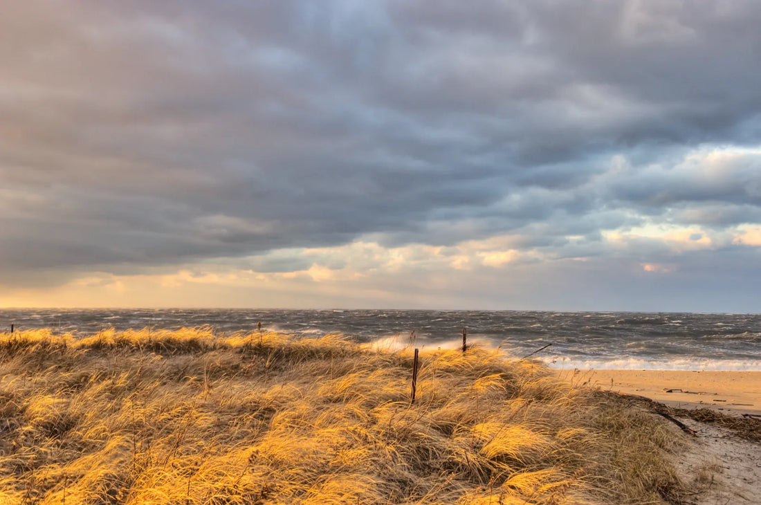 A Guide to North Fork, the Perfect Low-Key NYC Summer Getaway