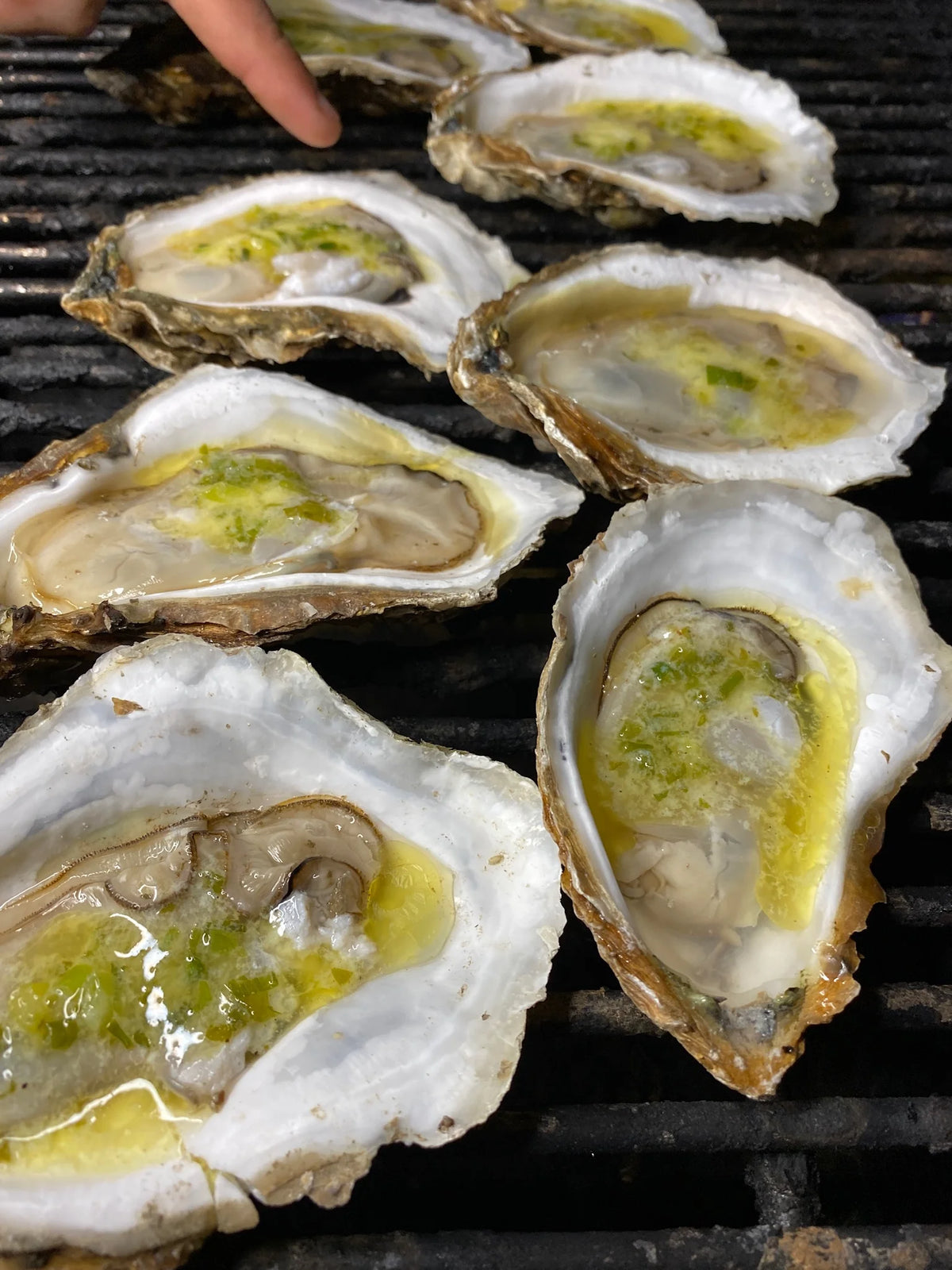 The Weekender (100 Oysters) - Delivery