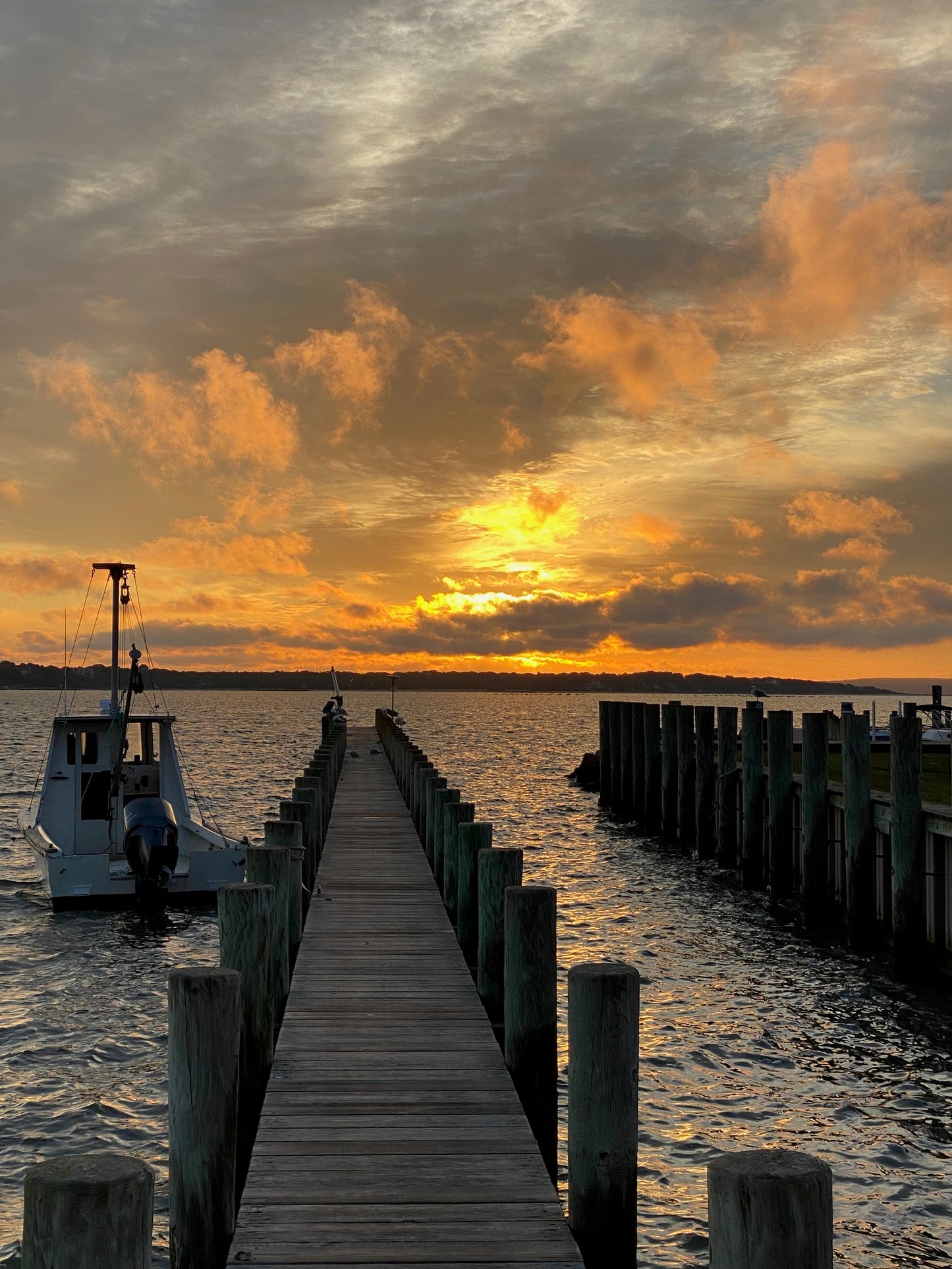 Tasting, Talk and Tour Experience