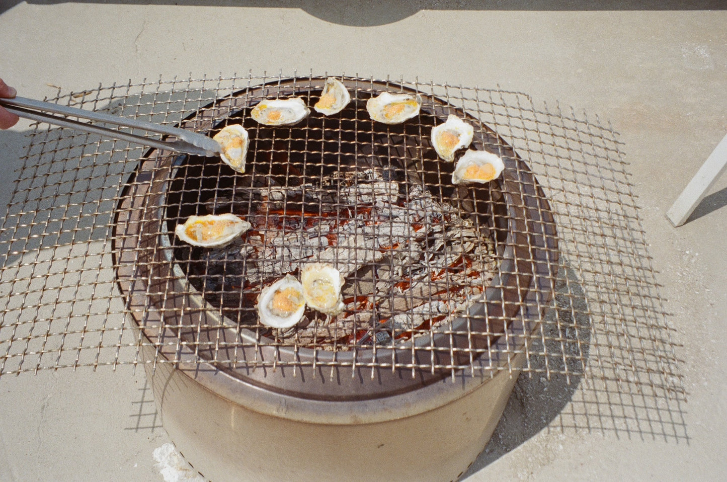 Tasting, Talk and Tour Experience