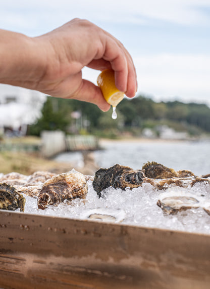 Tasting, Talk and Tour Experience