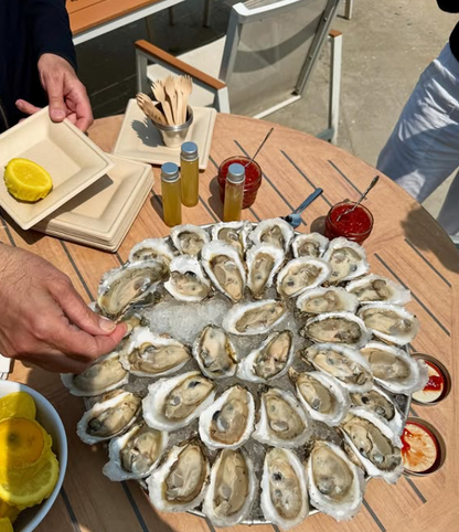 Tasting and Tour Experience