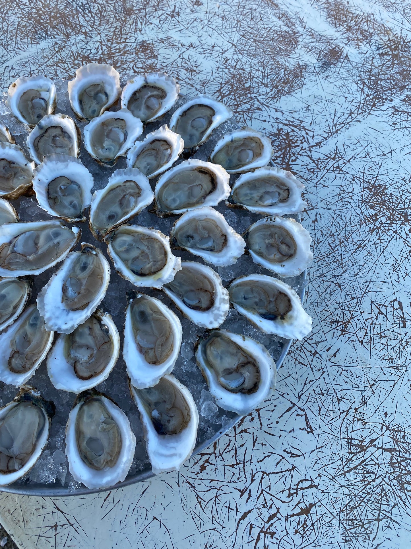 Local Pickup Shucked Peeko Platter