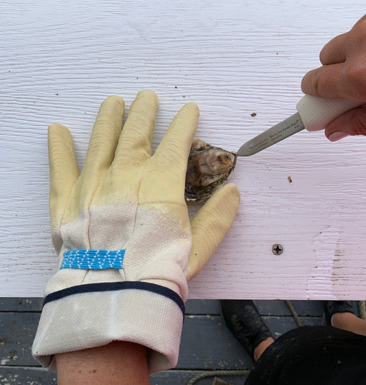 Oyster Shucking Glove