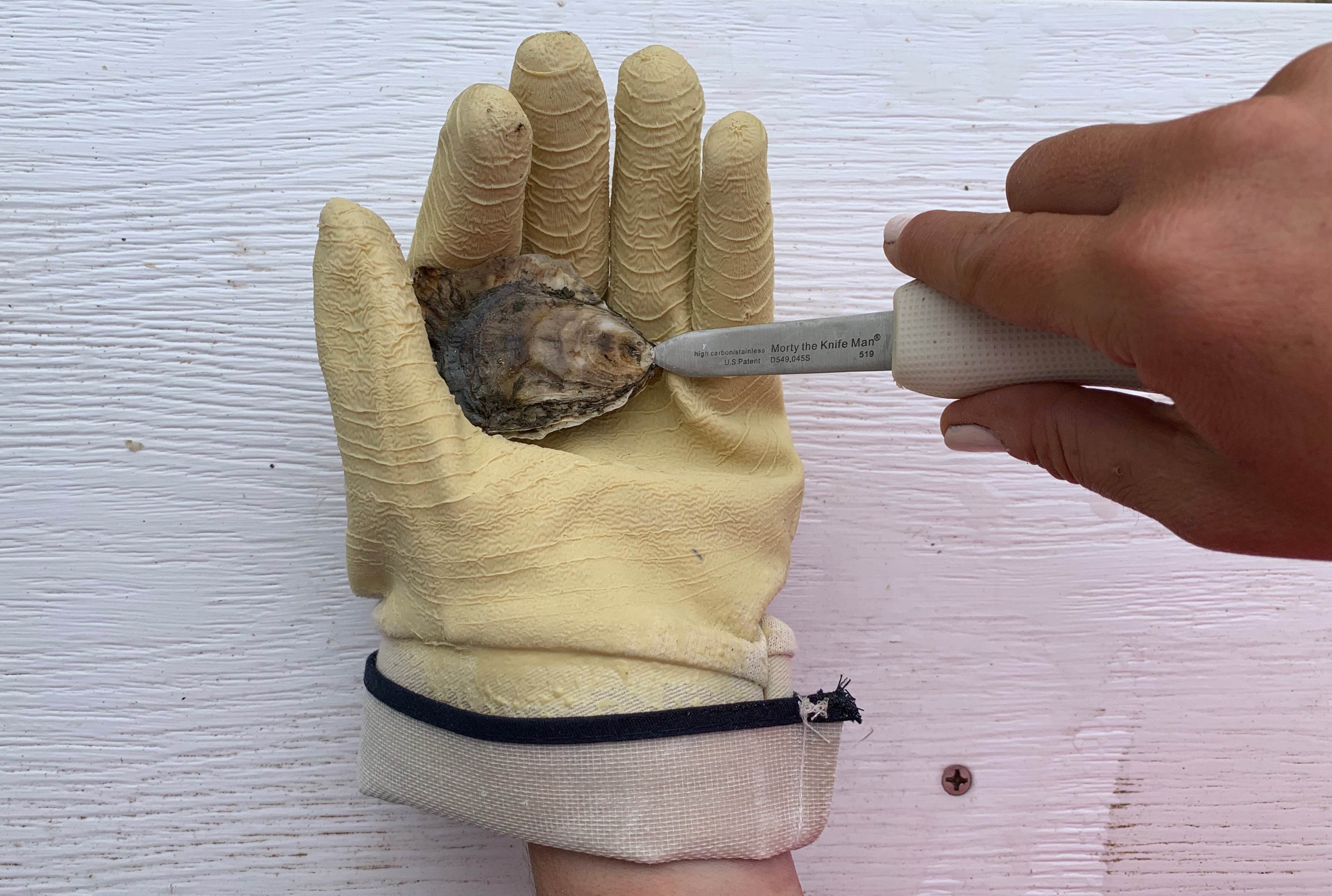 Oyster Shucking Glove