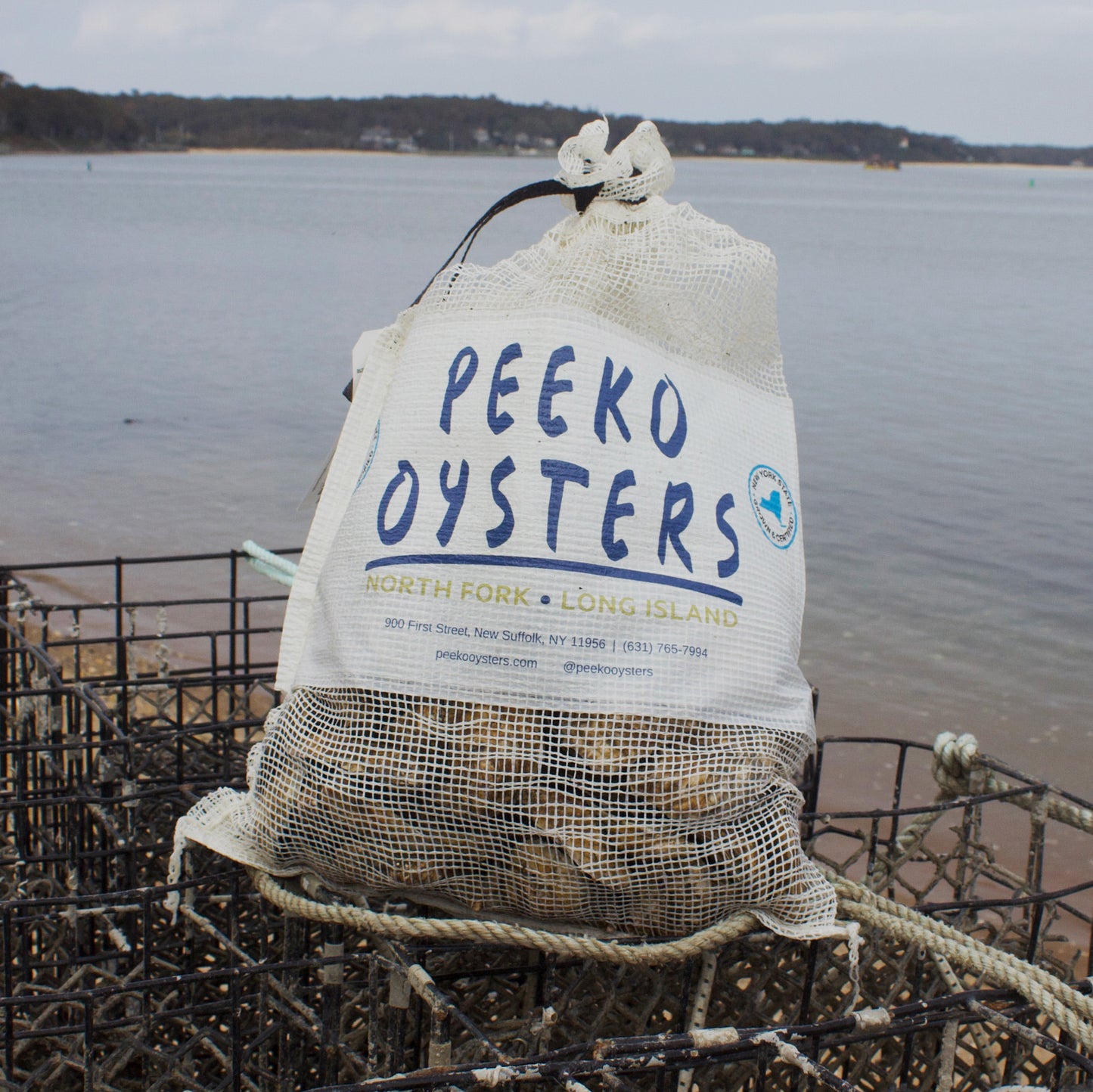 The One Nighter (50 Oysters)